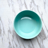 Turquoise/White Bowl